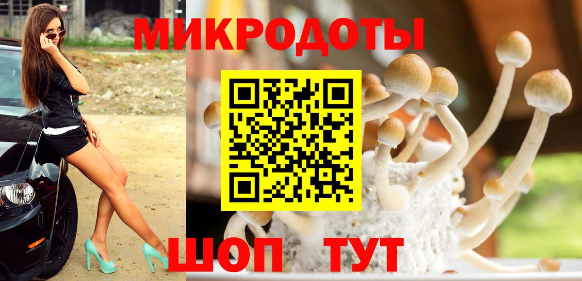 Псилоцибиновые грибы Cubensis  Вход с VPN  Галлюциногенные грибы мицелий  Спасск-Дальний 