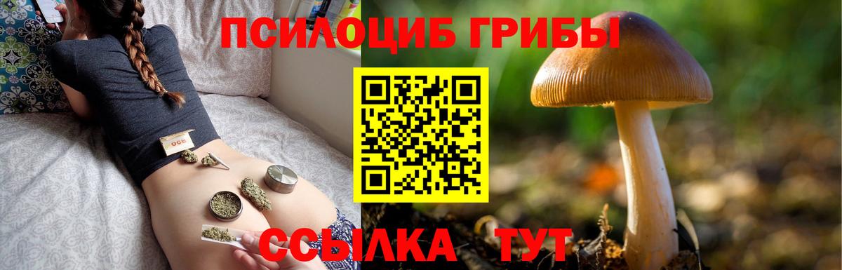 Псилоцибиновые грибы GOLDEN TEACHER Спасск-Дальний